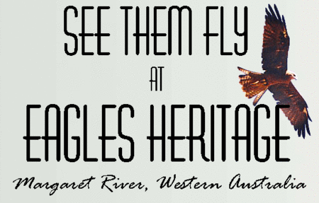 Eagles Heritage Raptor Wildlife Centre - VIC Tourism