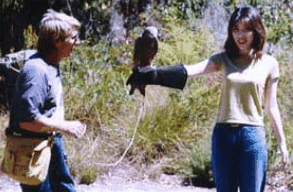Eagles Heritage Raptor Wildlife Centre - VIC Tourism 2