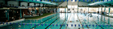 Belmont Oasis Aquatic Centre - VIC Tourism 1