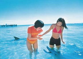  VIC Tourism