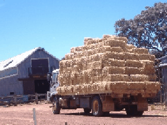 Avondale Discovery Farm - VIC Tourism 1
