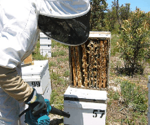 The House Of Honey - VIC Tourism 0