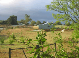 The House Of Honey - VIC Tourism 2