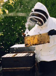 The House Of Honey - VIC Tourism 3