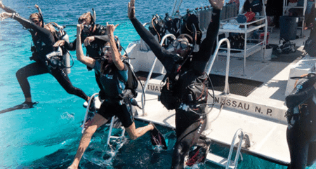Snorkel Safari Brisbane - VIC Tourism