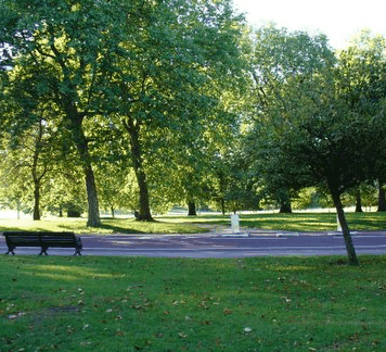 William Taylor Park - VIC Tourism