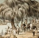 Joshua McClelland Print Room - VIC Tourism