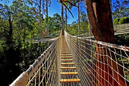 Thunderbird Park - VIC Tourism 0