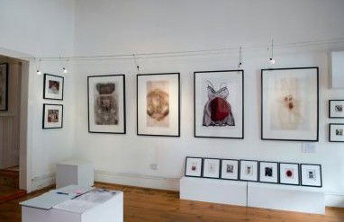 Bird's Gallery - VIC Tourism 1
