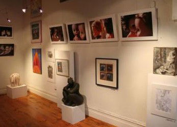 Bird's Gallery - VIC Tourism 2
