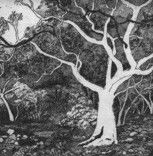 Tacit Contemporary Art - VIC Tourism 0