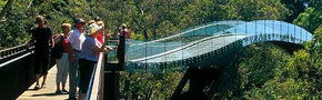 Kings Park Botanic Gardens - VIC Tourism 1