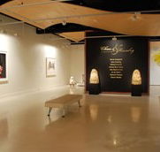 Counihan Gallery In Brunswick - VIC Tourism