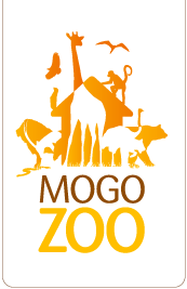 Mogo NSW VIC Tourism