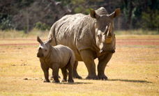 Werribee Open Range Zoo - VIC Tourism 3