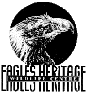 Eagles Heritage - VIC Tourism