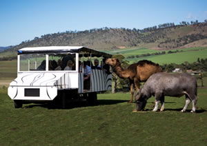 Zoo Doo Wildlife Park - VIC Tourism 2