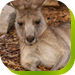  VIC Tourism