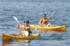 Manly Kayaks - VIC Tourism 0