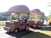 The Big Pineapple - VIC Tourism 2