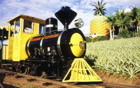 The Big Pineapple - VIC Tourism 3