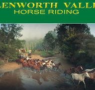 Glenworth Valley Horseriding - VIC Tourism