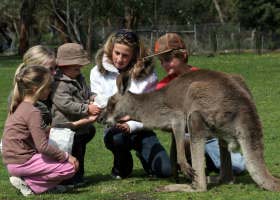 Gumbuya Park - VIC Tourism 1