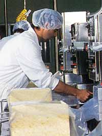 Allansford Cheese World - VIC Tourism 1
