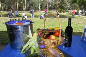 Buxton Trout And Salmon Farm - VIC Tourism 2