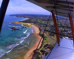 Tiger Moth World Adventure Park - VIC Tourism 1