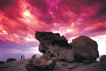 Kangaroo Island Adventure Tour 2 Day/1 Night - VIC Tourism 0
