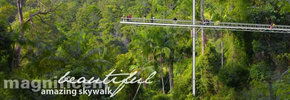 Rainforest Skywalk - VIC Tourism 2