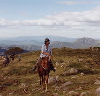 High Country Horses - VIC Tourism