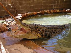 De Grey WA VIC Tourism