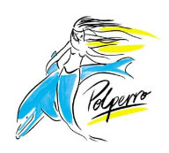 Polperro Dolphin Swims - VIC Tourism 0