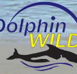 Dolphin Wild - VIC Tourism