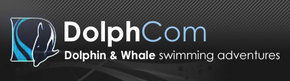Dolphcom - Dolphin & Whale Swimming Adventures - VIC Tourism 0