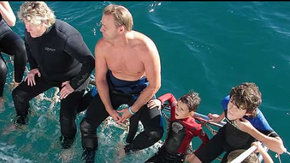 Dolphcom - Dolphin & Whale Swimming Adventures - VIC Tourism 2