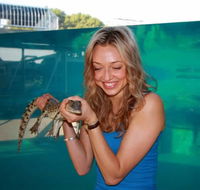 Crocosaurus Cove - VIC Tourism