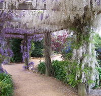 Abingdon Miniature Village - VIC Tourism
