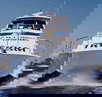 Sunshine Coast Fishing Charters - VIC Tourism