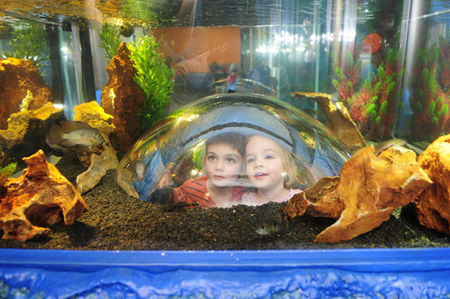 Scitech - VIC Tourism 3