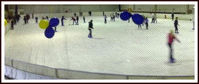 Bendigo Ice Stadium - VIC Tourism 2