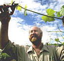 Barossa Experience Tours - VIC Tourism