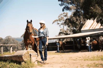 Watsons Trail Rides - VIC Tourism