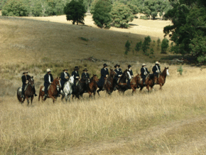 McCormacks Mountain Valley Trail Rides - VIC Tourism