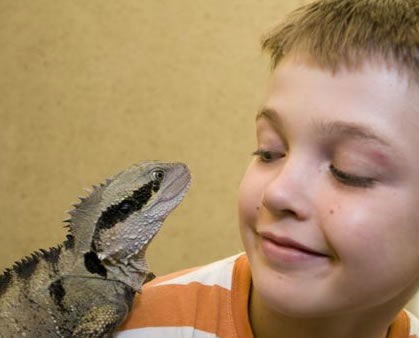 Geckoes Wildlife Presentations - VIC Tourism 2