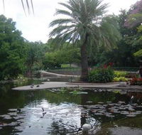 Brisbane City Botanic Gardens - VIC Tourism