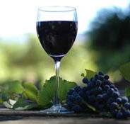 Lion Mill Vineyards - VIC Tourism