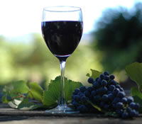 Lion Mill Vineyards - VIC Tourism 0